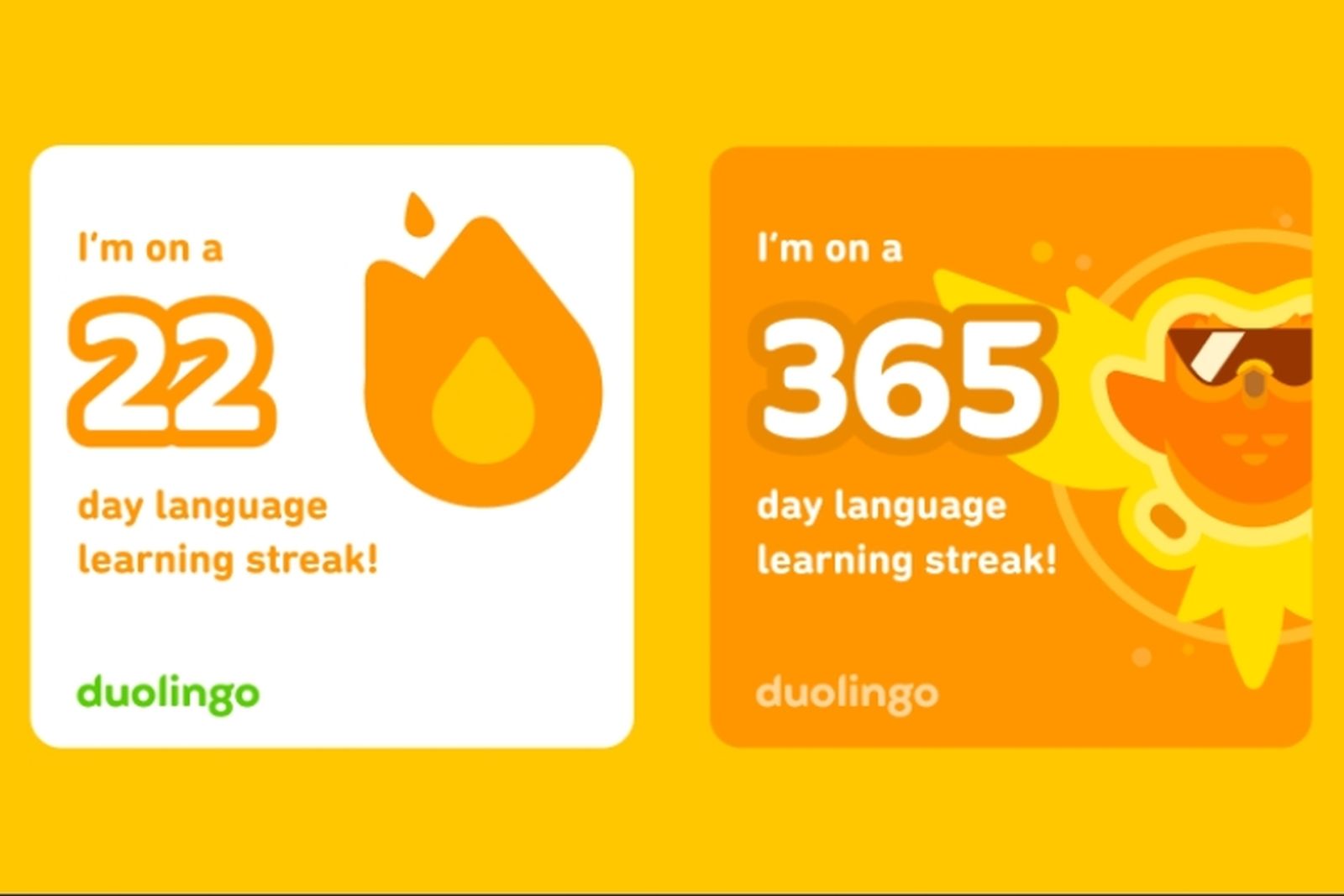 Unlocking the Highest Level in Duolingo: The Secret to Success